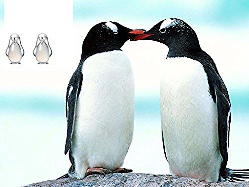למצוא פינגווין עגיל לנשים 925 סטרלינג כסף אופל פינגווין הרבעה עגיל לנשים בנות עם תיבת תכשיטים
