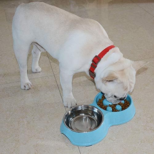 היפרנצ ' יס כלב אכילה איטית ושתייה קערה, נירוסטה אינטראקטיבית איטי להאכיל כלב קערה עבור בולדוג צרפתי,להאט