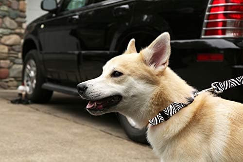 אייל חיית מחמד ללבוש צווארון כלבים - צווארוני חיות מחמד מתכווננים בדוגמת, מיוצרים בארצות הברית - רוחב 3/4 אינץ ', בינוני,