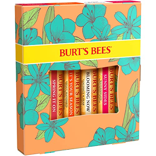 ברט של דבורים שפתון פסחא סל ממולאים, מזין שפתיים טיפול מתנות עבור כל יום הידרציה, רק הרים סט-רימון, אבטיח, מתוק