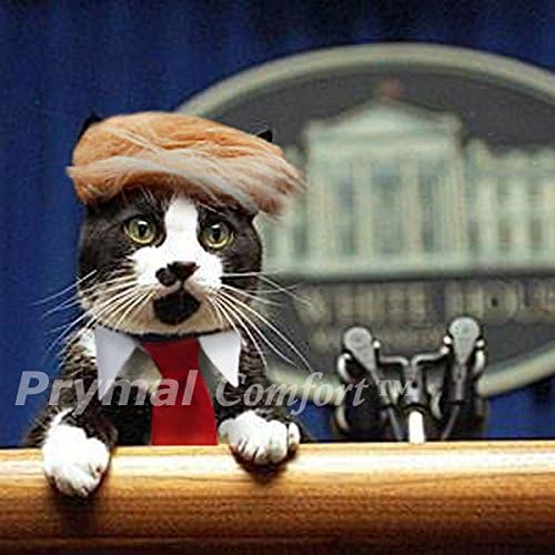 טראמפ חתול / כלב תלבושות עבור ליל כל הקדושים, מסיבות ותמונות