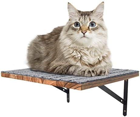 קיר רכוב מיטת חתול צף חתול מדף מקורה חתול מוט קיר מפוחם עץ לוח עם עצמי דבק שטיח מכוסה חתול קיר ריהוט לשינה