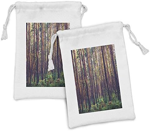סט כיס בדים של יער אמבסון סט של 2, יער בבוקר עצים גבוהים גזעים ירוקים סביבה טבעית הדפסת תמונה, תיק משיכה
