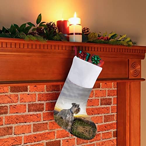 מיניאטורה שנאזר חג המולד תלויים גרבי גרביים לעץ עץ חג המולד תפאורה ביתית של חג