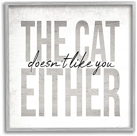 תעשיות סטופל החתול לא אוהב אותך אף ביטוי חיית מחמד, שתוכנן על ידי דפנה פולסלי אפור אפור קיר ממוסגר, 12 x 12, אפור