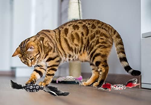 אופנה של דיבור 10 יחידות מגוון סוכריות בצורת חתול חתול צעצוע עם נוצות ופעמון עבור מקורה חתולים,חתלתול.מילוי קטניפ טבעי וצליל