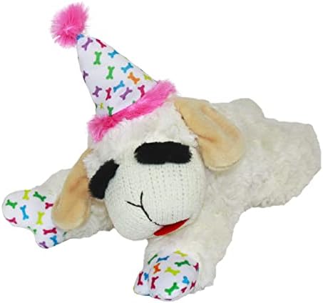 צעצוע כלב צלעות כבש מרובה עם כובע יום הולדת, ורוד, 10.5