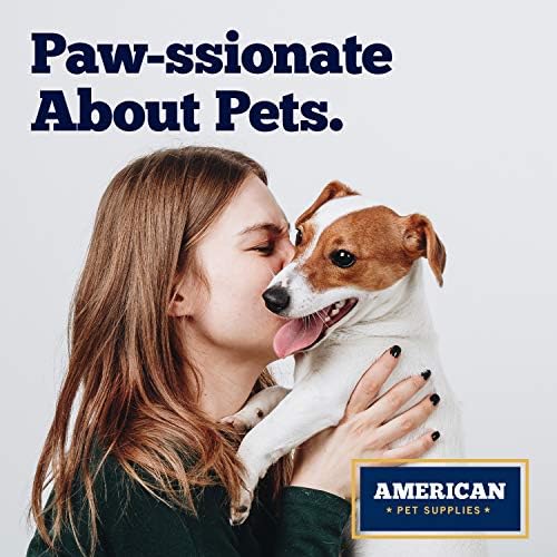 אמריקאי ציוד לחיות מחמד כלב קערות, סט של 2 ללא החלקה &מגבר; ללא טיפ צבעוני נירוסטה קערות עבור גורים וכלבים
