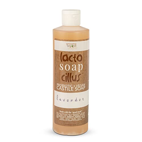 פרוביוטיקה + סבון קסטיליה טבעוני לקטוסואפצילוס-סבון נוזלי רב תכליתי מרענן באופן טבעי-ריח פצ ' ולי-מרכיבים צמחיים