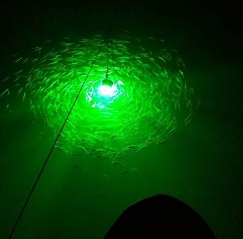 LED ליל דיג אור 12V 108 נוריות LED 10.8 ווא