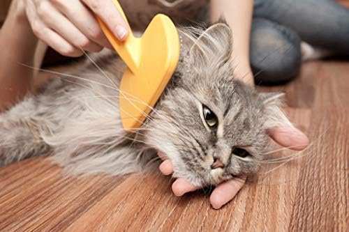 חתול חיסון אבקה-הטוב ביותר חתולים שיער ומעיל מורכב-גירוד הקלה תמיכה-נייל בריאות-מגנזיום לחתולים-120 טבליות