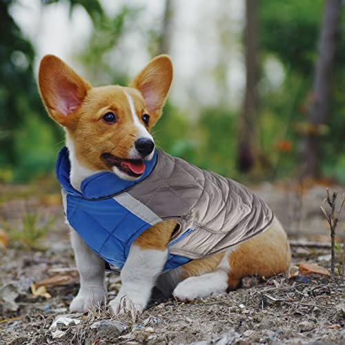 מעיל חורף כלב בגדי כלבים חמים למזג אוויר קר מחמד ז'קט רפלקטיבי עם צווארון, טבעת רצועה, אבזם מתכוונן לכלבים קטנים