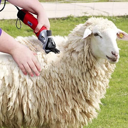 כפרי365 חשמלי כבשים מזמרה-500 ואט גדול בעלי החיים קוצץ עבה מעילי כפול להב בעלי חיים מזמרה, 6 מהירות