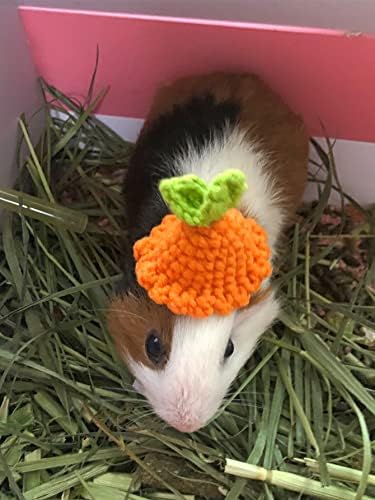 Qwinee כובע אוגר סרוג חמוד כובע חיה קטנה כובע ראש ללבוש אביזרים לגינאה צ'ינצ'ילה עכבר עכבר גרביל ובעלי חיים קטנים אחרים