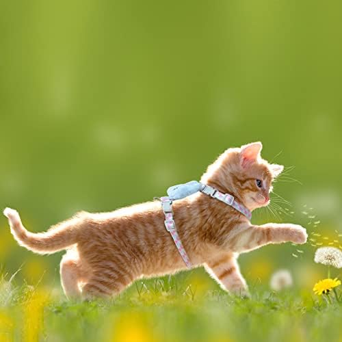 חתול רתם ורצועה סט, רך ניילון מתכוונן לרתום בריחה הוכחה עבור גורים גור קטן חתולי כלבים, קל משקל הליכה נסיעות חיות מחמד בטוח