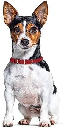 צווארון כלבים מגולגל עור מגולגל עמיד חבל עגול צווארוני חיות מחמד לכלבים גדולים בינוניים גדולים