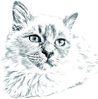 ארט דוג, מ.מ. בירמן, מצבה סגלגלה מאריחי קרמיקה עם תמונה של חתול