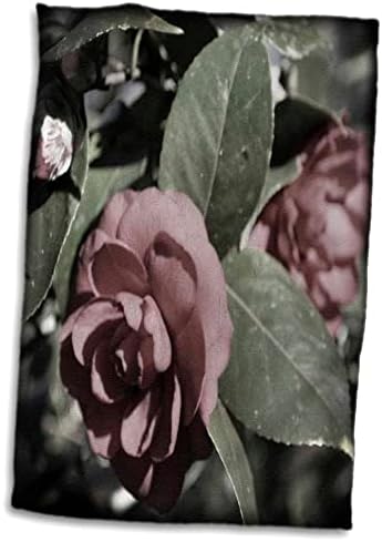 3drose Camellia Dested Color הוא צילום מרוקן בצבע למעט מעט זעיר - מגבות