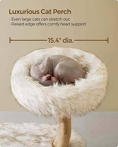 עץ חתול מודרני של פנדריאה, מגדל חתולים מעץ לחתולים גדולים עד 22 ליברות, דירת חתולים יוקרתית בגודל 48.4 אינץ ' עם עמוד גירוד,