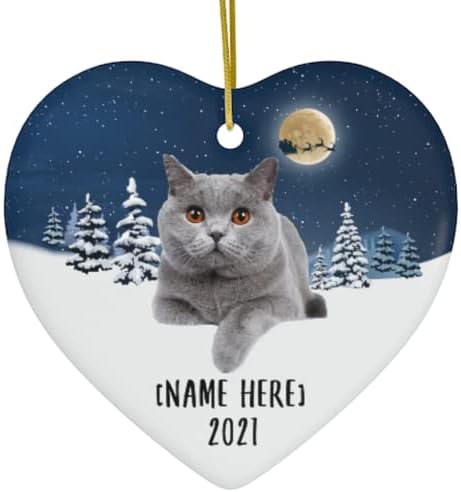 קישוטי חתול חמוד של שורטאיר בריטי לחמוד לשנת 2023 עץ חג המולד מתנות שם מותאם