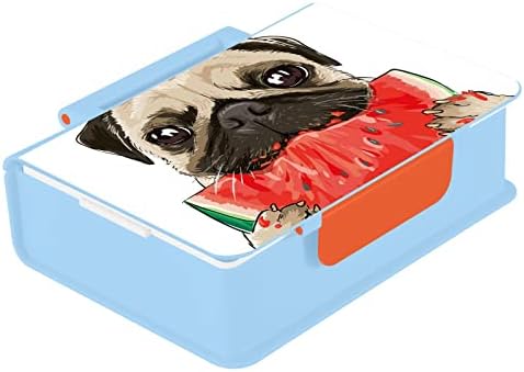 אלזה פוג מצחיק כלב אבטיח בנטו קופסת ארוחת צהריים BPA ללא דליפה מכולות ארוחת צהריים עם מזלג וכף, 1 חתיכה