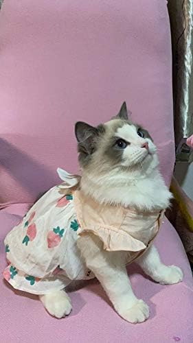 ג'אלין מחמד תות דפוס שמלות קיץ לקיטי כלב חתול כלב בגדים יומיים)