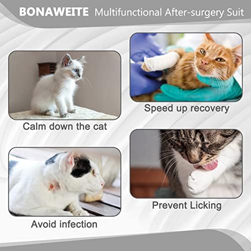 חליפת התאוששות מקצועית של חתול Bonaweite לפצעי בטן ומחלות עור, אלטרנטיבה של צווארון אלקטרוני לחתולים וכלבים, לאחר
