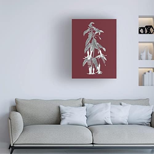 סימן מסחרי אמנות 'רימון בוטני I' אמנות קנבס מאת תיק תפוחים פראי