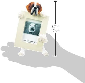 מסגרת התמונה של סנט ברנרד מחזיקה את צילום ה- 2.5 על 3.5 אינץ 'המועדף עליך, צבוע ביד מציאותית למראה סנט ברנרד עומד