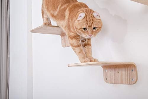 מייזו חוסר: קיר רכוב חתול מדף, עץ חתול ריהוט, צף חתול מוט, חתול עץ