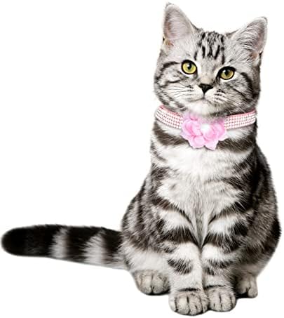 2 גדלים מתכווננת אישית ריינסטון חתול קולרים עם פרח עניבת כותנה בנות חתול צווארון עם מתכת אבזם מתכוונן גור