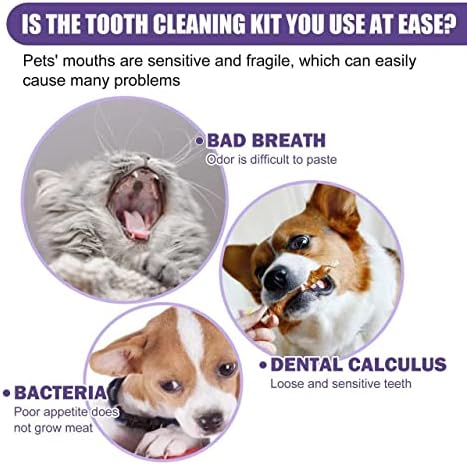 ג'אנג קו שיניים ניקוי מגבונים לכלבים וחתולים, הסר נשימה רעה על ידי הסרת לוחית והצטברות טטרר ללא שטיפה מברשת שיניים, ניקוי