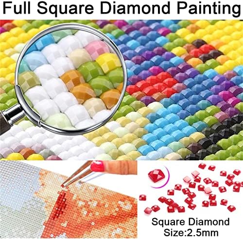 ערכות ציור יהלומים למבוגרים/ילדים 5D DIY Diamond Art Paint עם אמנות יהלום מרובע ציור שמן צבעוני פרחים נקודות