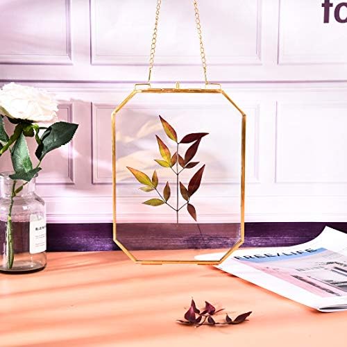 Longwin 6x8 מסגרת זכוכית לפרחים לחוצים אוקטגון זהב תלויה קיר צפה מסגרת צפה כפול דו צדדי מסגרת זכוכית פליז