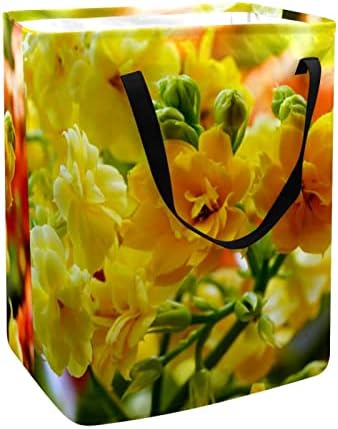 יפה צהוב פרח הדפסת מתקפל סל כביסה, 60 ליטר עמיד למים סלי כביסה כביסה סל בגדי צעצועי אחסון עבור במעונות אמבטיה חדר שינה