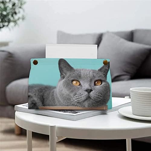 מחזיק רקמות לחתול כחול מתקן תפאורה ביתית כיסוי מפית למטבח סלון אמבטיה